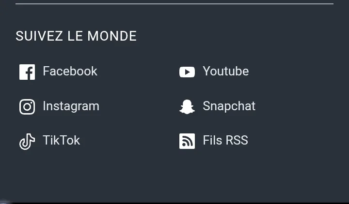 Réseaux sociaux affichés dans le footer de la page analysée
